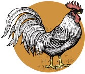 Bistrot de la Galine - Restaurant Saint-Rémy-de-Provence